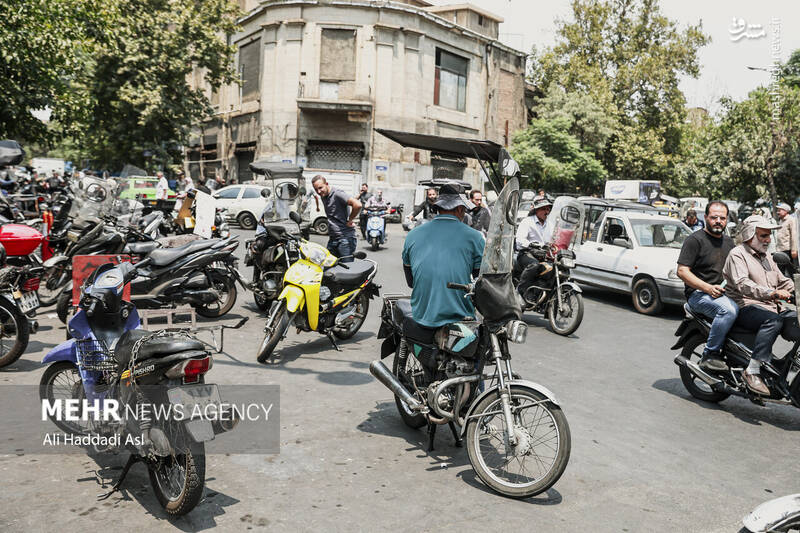 عکس / زیر تیغ گرما 7