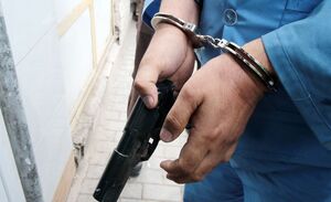 سرقت مسلحانه از طلافروشی در ابهر نافرجام ماند
