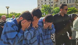 فیلم / توضیحات پلیس درباره دستگیری سارقان خشن سعادت‌آباد