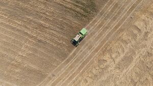 عکس/ برداشت گندم در "سارال"