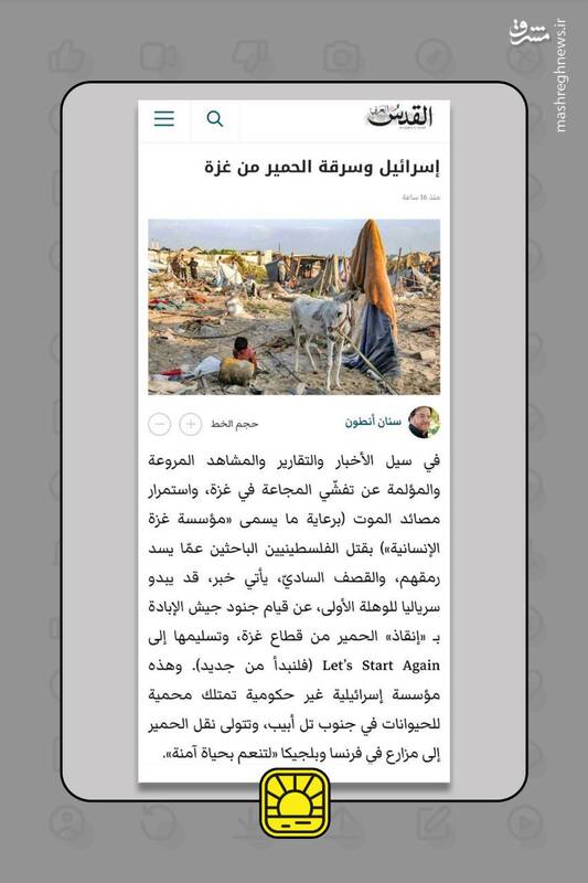 مضحک اما واقعی؛ کار اسرائیل به سرقت خر از غزه رسید!