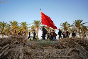 تصاویری از پیاده‌روی مردم عراق به سوی بهشت