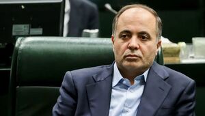 نوری‌قزلجه: برنامه وزارت جهاد، تقویت دامداری‌های کوچک و سنتی است