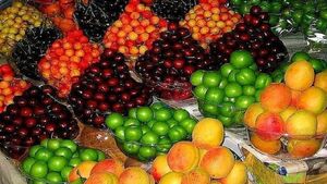 میوه ارزان می شود / کاهش 20 درصدی قیمت میوه در روزهای آتی