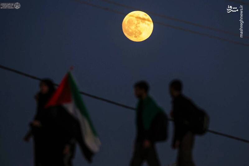 عکس/ ماه کامل بر فراز طریق الحسین(ع)