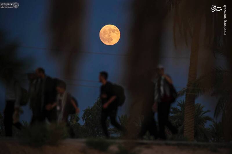 عکس/ ماه کامل بر فراز طریق الحسین(ع)