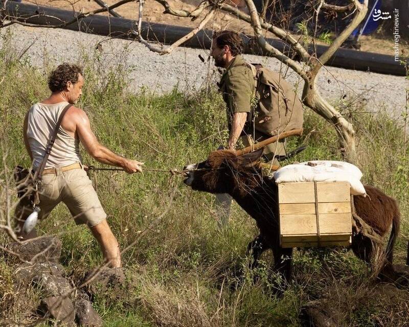 از کد داوینچی تا بهشت: ران هاوارد باز هم در دام کلیشههای سطحی افتاد!/ فیلمی که ادعای فلسفه داشت، اما حتی یک لحظه تماشاگر را به فکر فرو نبرد