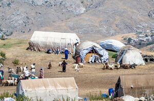 عکس/ کوچ ییلاقی عشایر «قاراداغ»