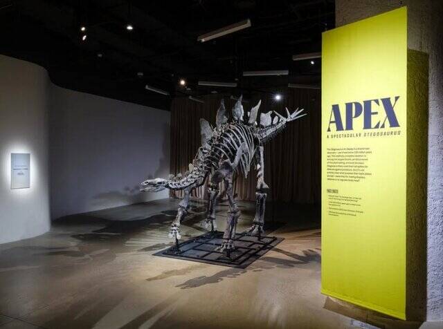 چرا دایناسورها را میخرند؟