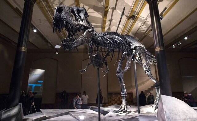 چرا دایناسورها را میخرند؟