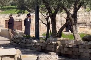 تعرض مجدد شهرک نشینان به مسجدالاقصی