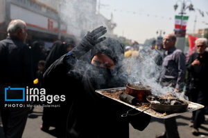 تصاویری زیبا از عبور کاروان‌های عشق از میان نخلستان‌ها