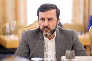 تضعیف اعتبار دیوان بین‌المللی دادگستری با جانبداری از اسرائیل