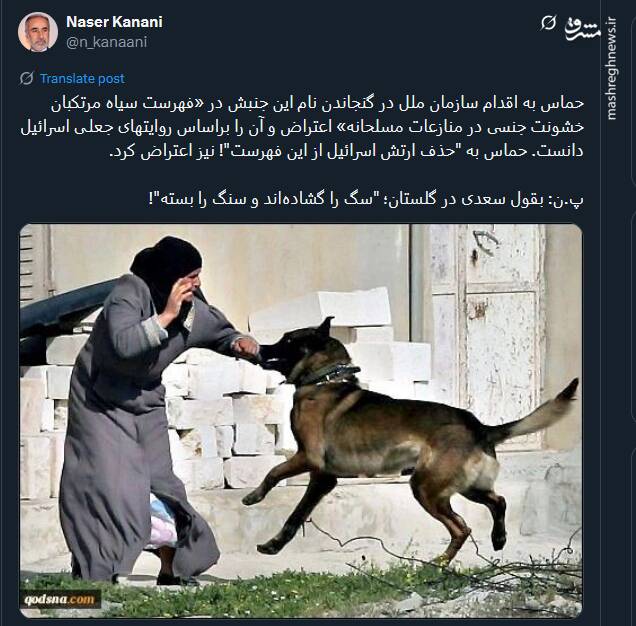 سگ را گشادهاند و سنگ را بسته!