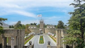 بررسی چرایی حذف عنوان سرپرست از کابینه حکومت طالبان