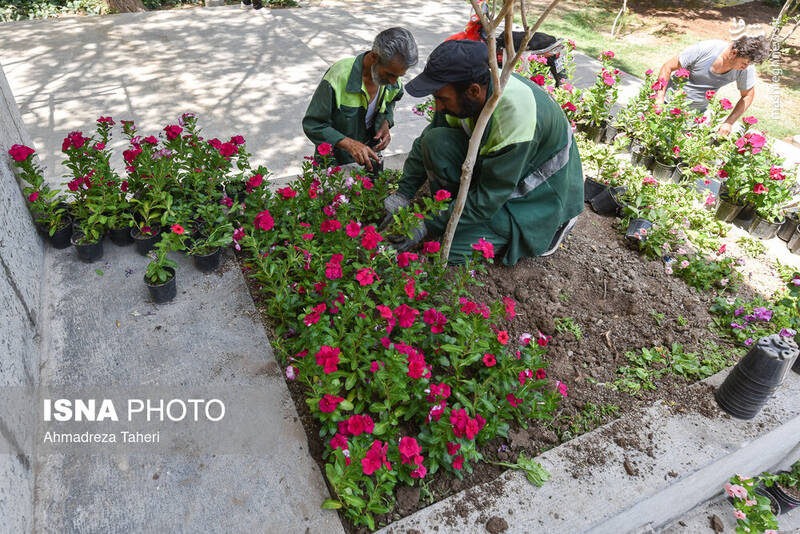 عکس / آمادهسازی آرامگاه استاد فرشچیان در اصفهان 10