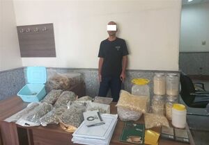دستگیری مواد فروشی با ۲۰۰۰فالوئر در اینستاگرام/ کشف ۱۷کیلو قارچ سمی توهم‌زا
