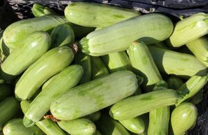 یک خوردنی مفید برای کاهش نفخ