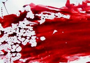 قتل خلافکار افغانستانی با ضربات چاقو / شرور معروف شهر ری دستگیر شد