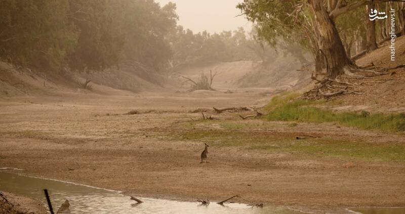 ۴ میلیارد نفر گرفتار کمآبی/ جهان در بحران آب غرق میشود؟!