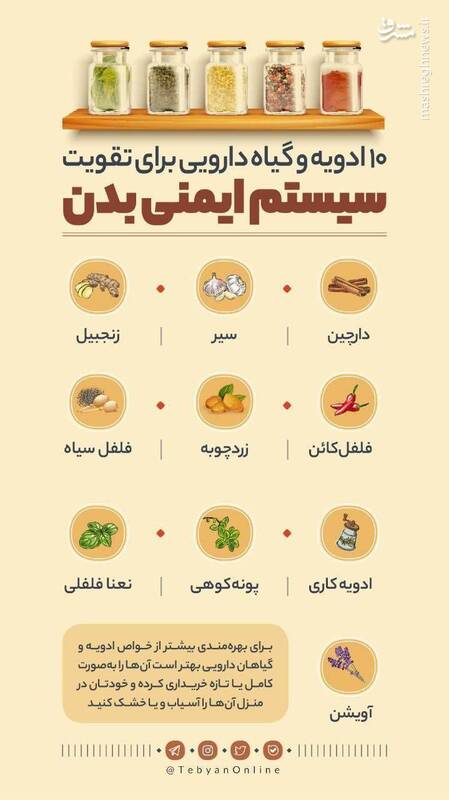 اینفوگرافیک/ ۱۰ گیاه دارویی برای تقویت سیستم ایمنی بدن