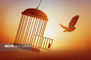 آزادی 88 محکوم مالی با پیگیری دادستانی تهران