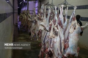 کاهش عرضه گوشت قرمز و طیور در تیرماه