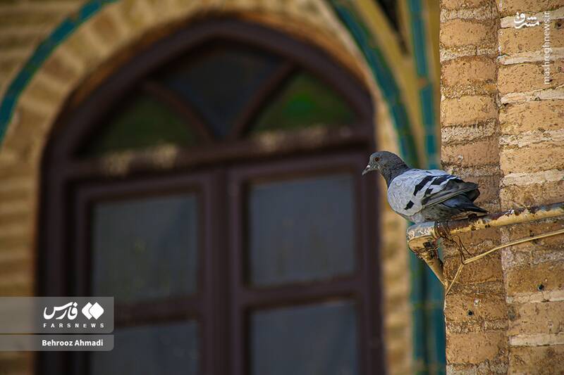 عکس/ جلوههای تاریخ و هویت اسلامی مساجد کرمانشاه