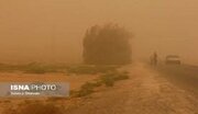وزش باد ۱۱۵ کیلومتری زابل را درنوردید