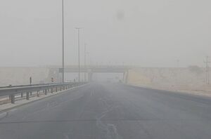 توده عظیم گرد و خاک بندرعباس را در برگرفت