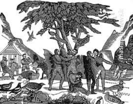 داستان فریب بزرگ ماه در سال ۱۹۳۶ میلادی چه بود؟ +عکس