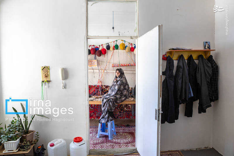 عکس / فرش دستباف هریس 23