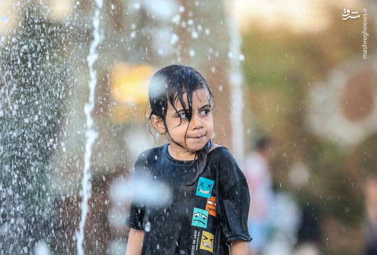 پارك،عصرها