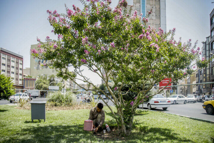 وزش باد شدید و گرد و خاک در تهران؛ هوا خنک میشود