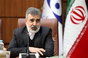 تعویض سوخت نیروگاه بوشهر با حضور ناظران آژانس اتمی