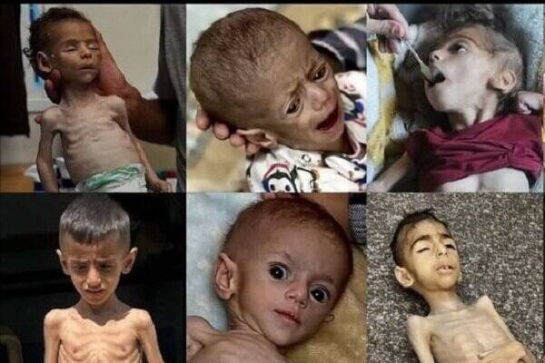 جنایات رژیم صهیونیستی در جنگ غزه به روایت آمار