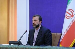 هشدار غریبآبادی به اروپاییها / اسنپبک، تعامل ایران با آژانس را تحت تاثیر قرار خواهد داد