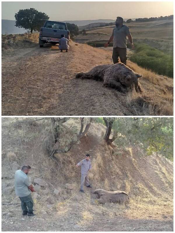 حفاظت،محيط،منطقه