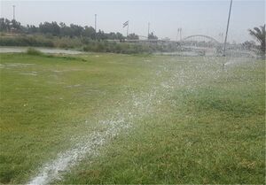 بی‌برنامگی در آبیاری فضای سبز تهران