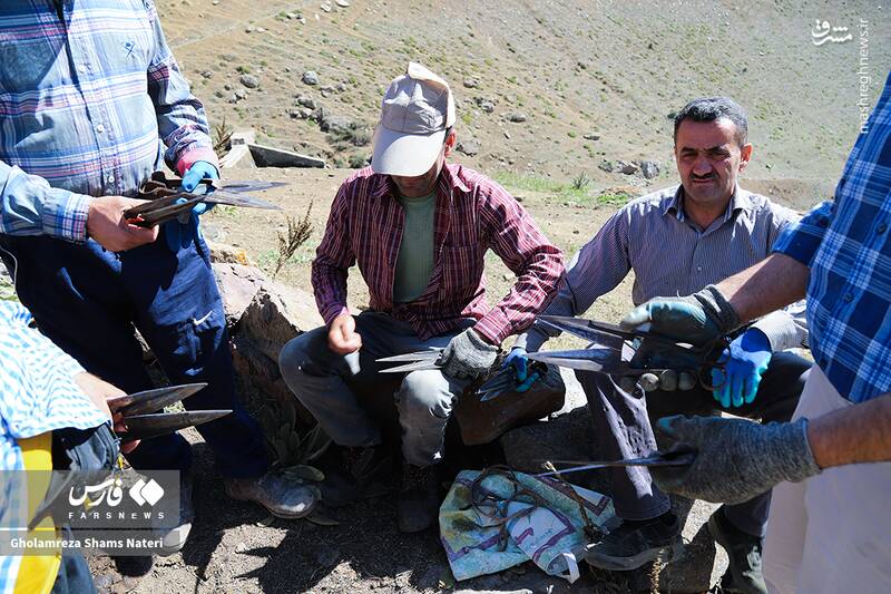عکس / پشمچینی سنتی گوسفندان در مناطق کوهستانی چالوس 27