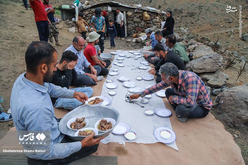 عکس / پشمچینی سنتی گوسفندان در مناطق کوهستانی چالوس 21