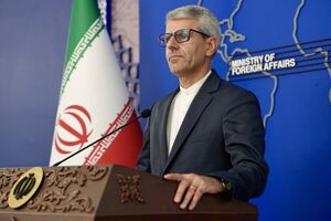 فیلم / بقایی: تصمیمهای شورای امنیت براساس اخلاق و منطق نیست