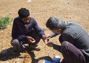 تبریک توئیتری وزیر بهداشت بمناست روز بهورز