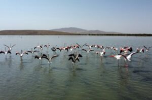 عکس/ تالاب‌های "درگه و سولدوز"