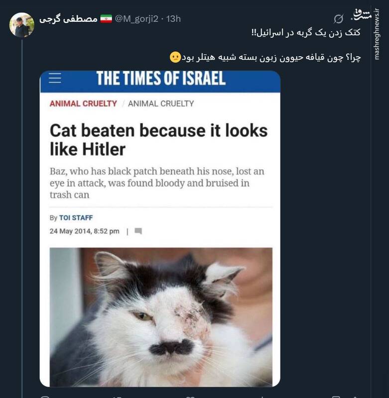 کتک زدن یک گربه در اسرائیل؛ چون شبیه هیتلره!