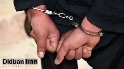 متواري،سارقان،دهان،سوار،محدوده