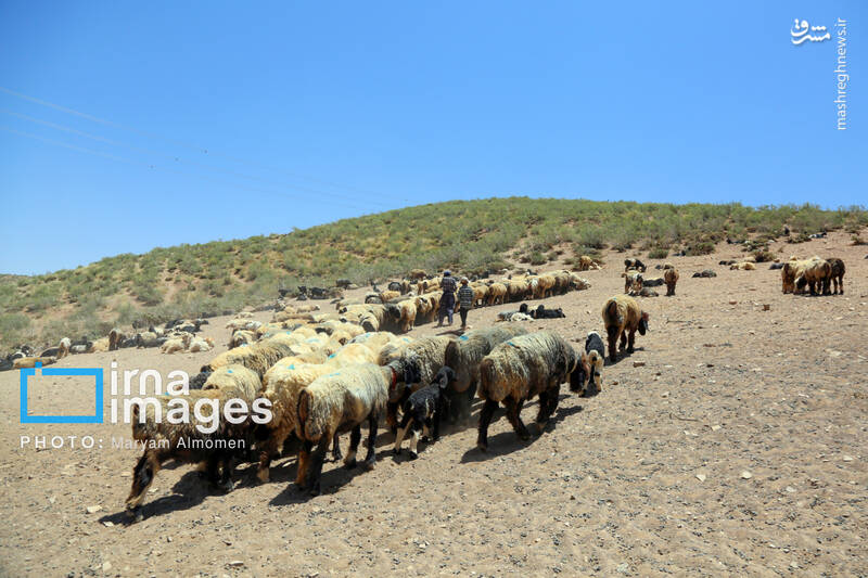 عکس / معلمی برای 3 دانش آموز 34