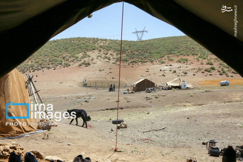 عکس / معلمی برای 3 دانش آموز 30