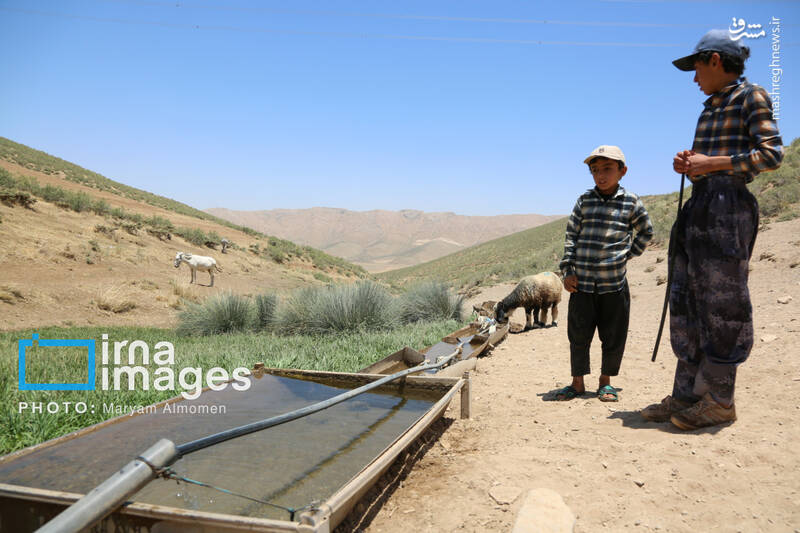 عکس / معلمی برای 3 دانش آموز 29