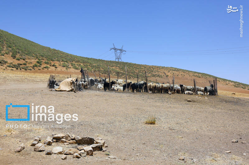عکس / معلمی برای 3 دانش آموز 22